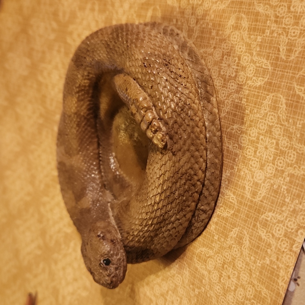 Vintage Rare Sullivan Art Studio Rapid City S.D. Coiled Snake Sculpture